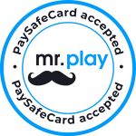 Das Mr. Play Casino - Logo