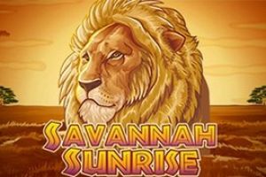 Savannah Sunrise Slot von Amaya