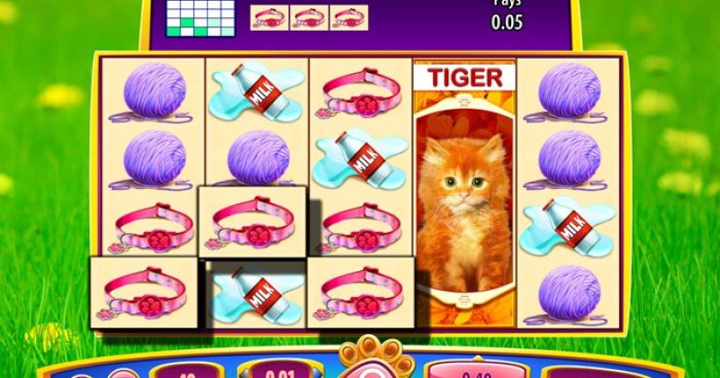 Spielen Sie in OMG! Kittens Slot von WMS jetzt gratis online spielen / Casino Deutschland