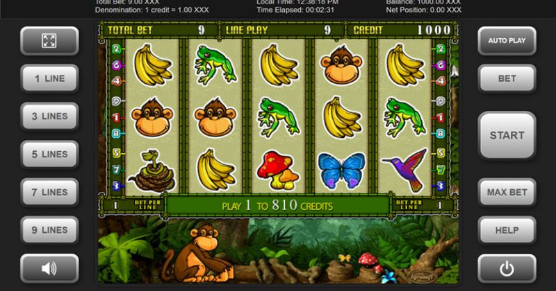 Spielen Sie jetzt den Crazy Monkey 2 Slot Online von Igrosoft kostenlos / Casino Deutschland