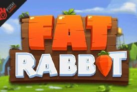 Fat Rabbit Bewertung