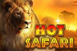heiГџe Safari