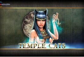 Temple Cats Bewertung