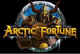 Arctic Fortune Bewertung