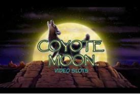 Coyote Moon Bewertung