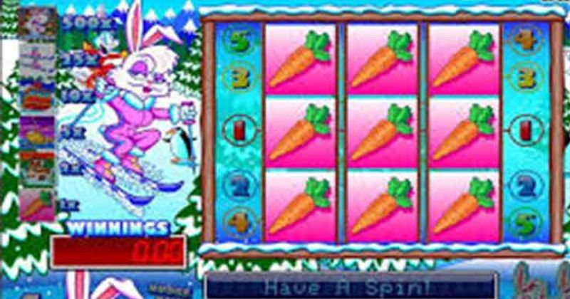 Spielen Sie jetzt den Ski Bunny Slot Online von Microgaming kostenlos | Casino Deutschland
