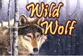 Wilder Wolf Bewertung