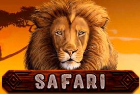 Afrikanische Safari Bewertung